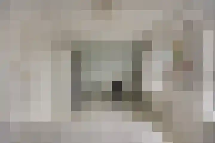 Iepenstraat 17 Haarlem thumbnail 38