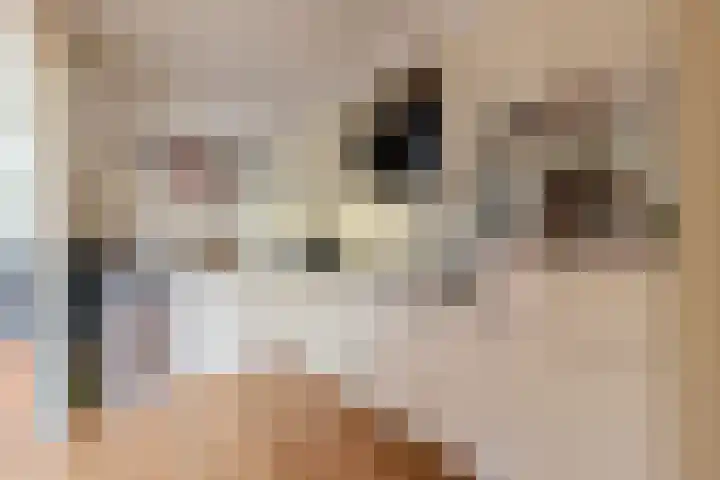 Iepenstraat 17 Krommenie thumbnail 12