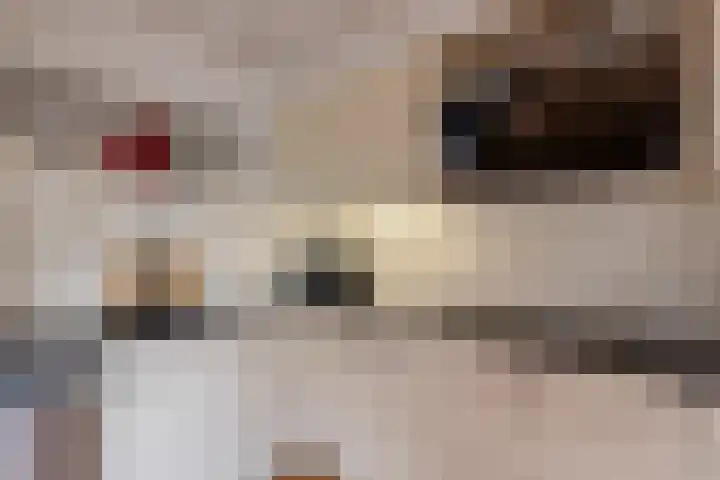 Iepenstraat 17 Krommenie thumbnail 14