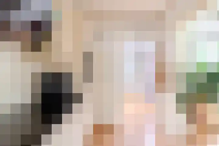 Iepenstraat 17 Krommenie thumbnail 15