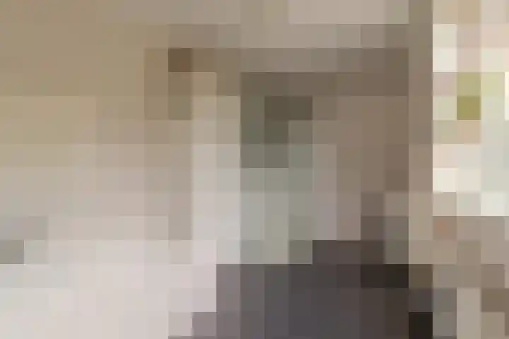 Iepenstraat 17 Krommenie thumbnail 18