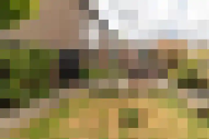 Iepenstraat 17 Krommenie thumbnail 21