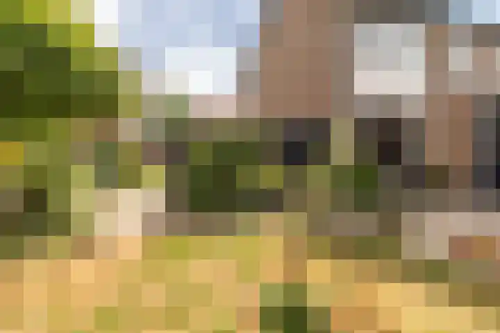 Iepenstraat 17 Krommenie thumbnail 22