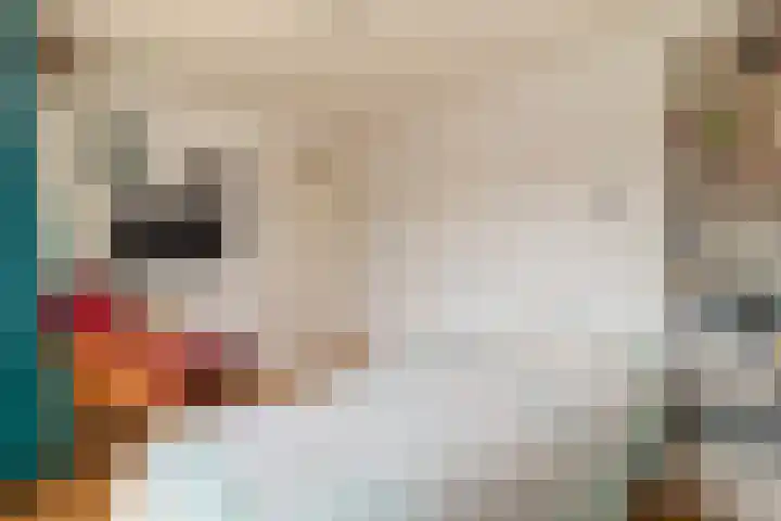Iepenstraat 17 Krommenie thumbnail 27