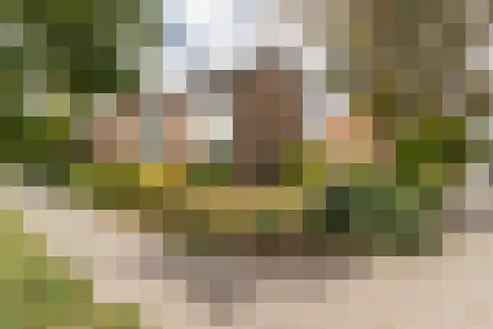 Iepenstraat 17 Krommenie thumbnail 34