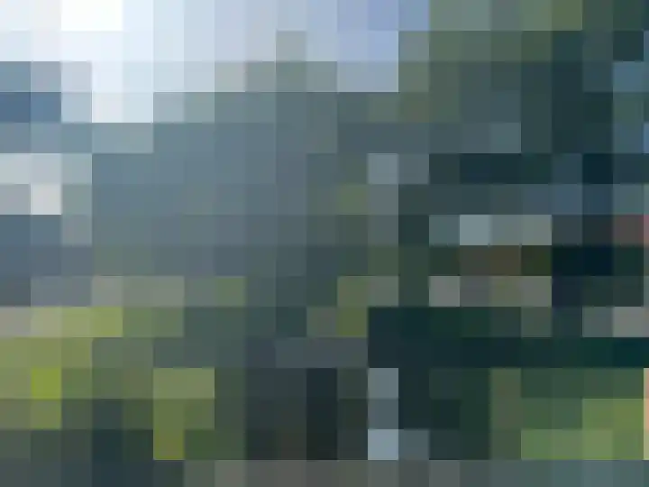 Iepenstraat 17 Krommenie thumbnail 36