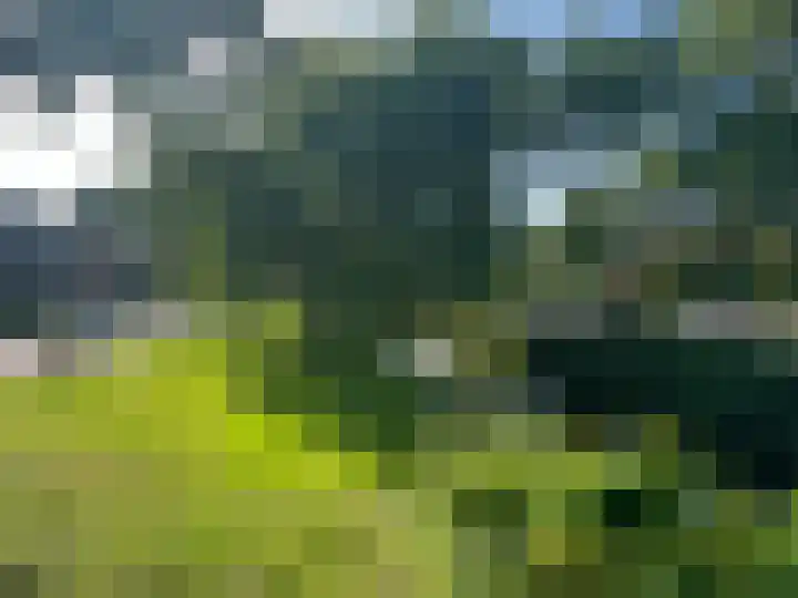 Iepenstraat 17 Krommenie thumbnail 39