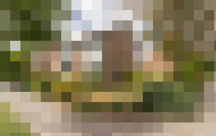 Iepenstraat 17 Krommenie thumbnail 43