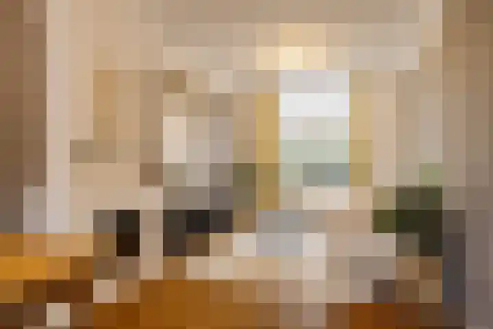 Iepenstraat 19 Haarlem thumbnail 12