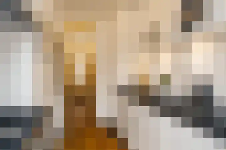 Iepenstraat 19 Haarlem thumbnail 20