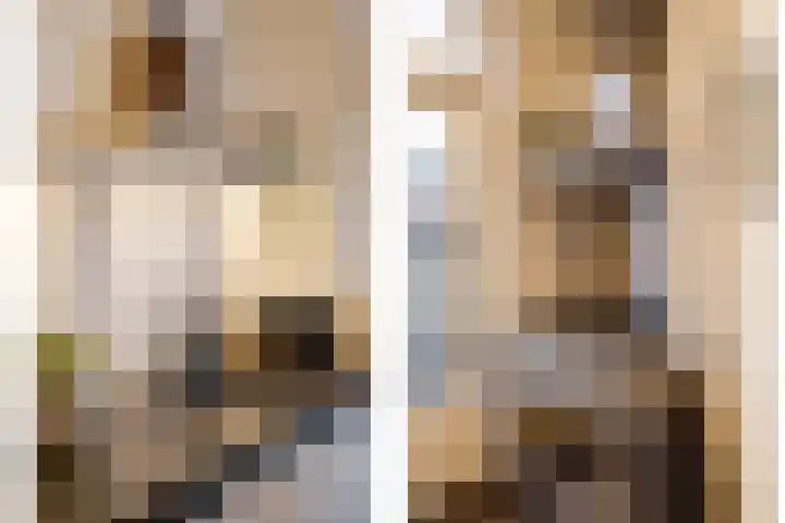 Iepenstraat 19 Haarlem thumbnail 21