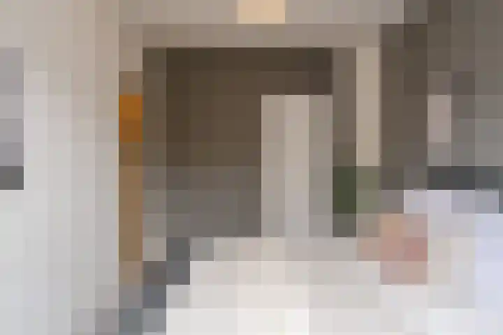 Iepenstraat 19 Haarlem thumbnail 33
