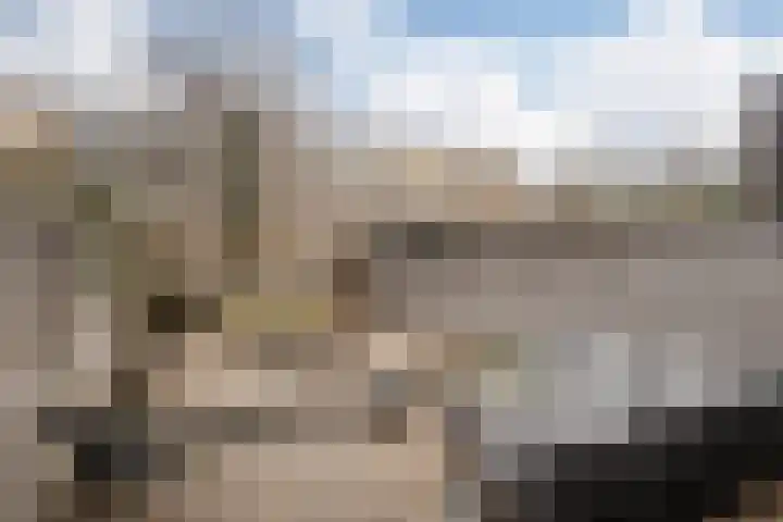 Iepenstraat 19 Haarlem thumbnail 4