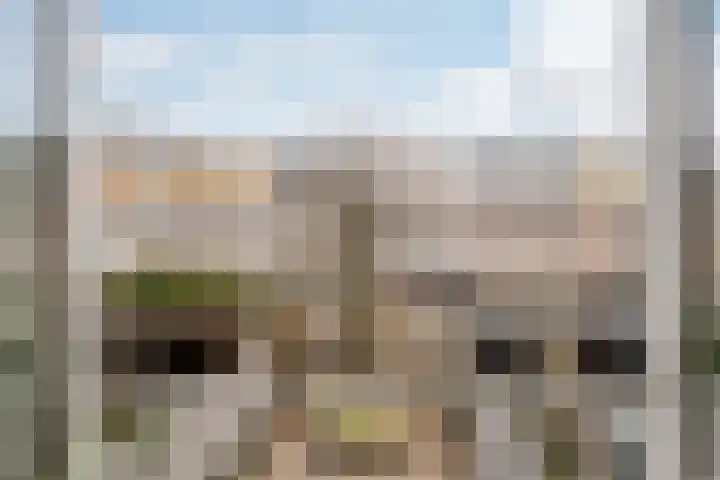 Iepenstraat 19 Haarlem thumbnail 42
