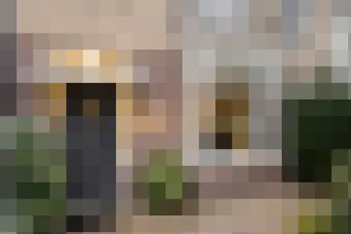 Iepenstraat 19 Haarlem thumbnail 6