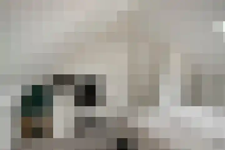 Iepenstraat 27 Oss thumbnail 20
