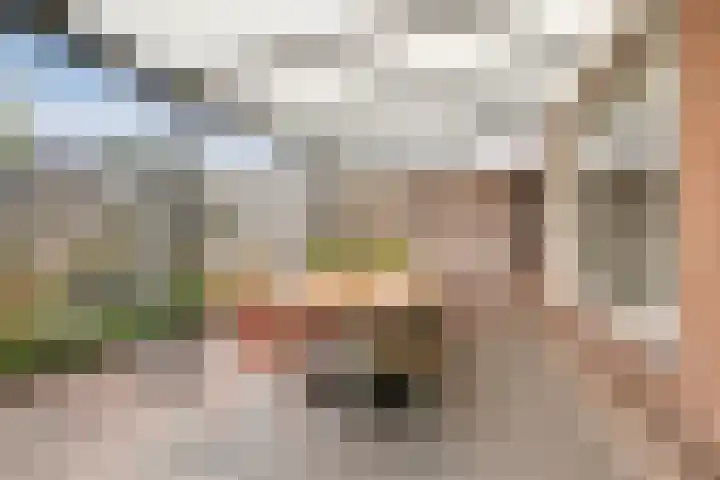 Iepenstraat 27 Oss thumbnail 21