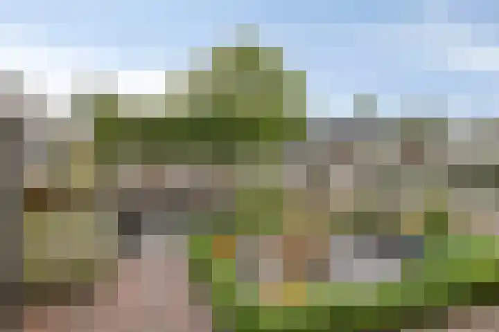 Iepenstraat 27 Oss thumbnail 22