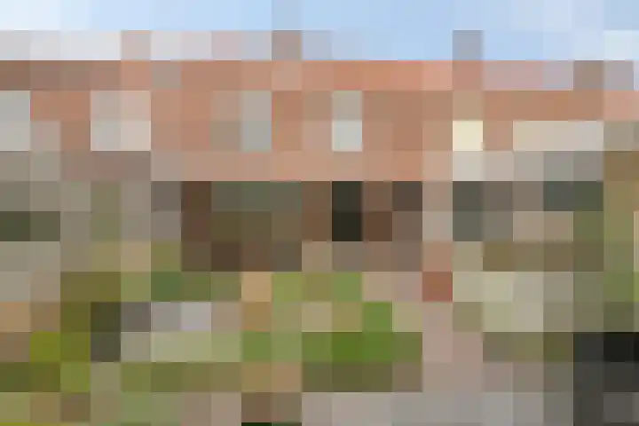 Iepenstraat 27 Oss thumbnail 23
