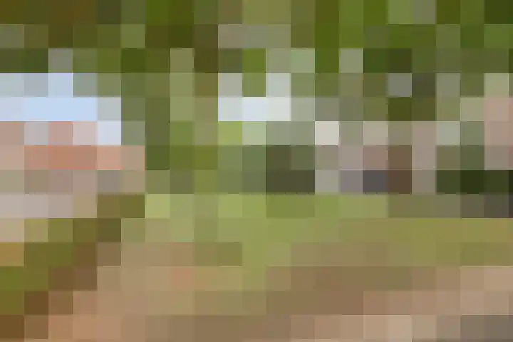 Iepenstraat 27 Oss thumbnail 26