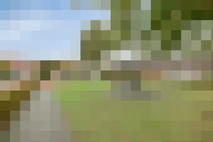 Iepenstraat 27 Oss thumbnail 27