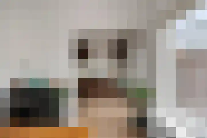 Iepenstraat 27 Oss thumbnail 6