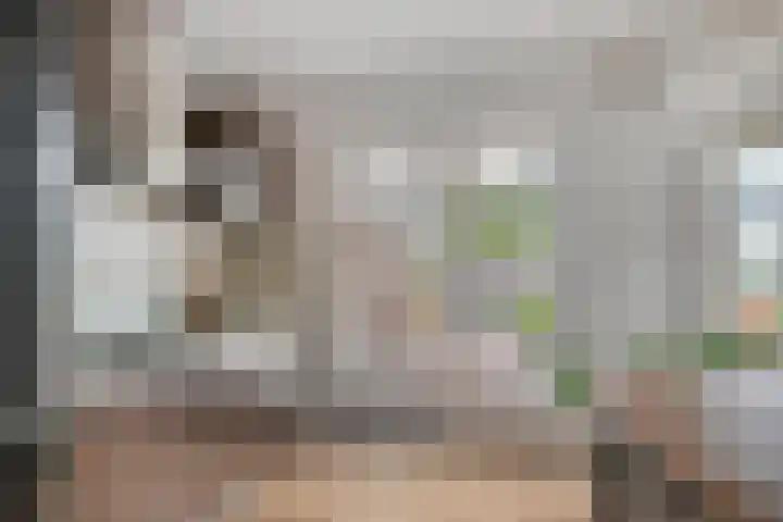 Iepenstraat 27 Oss thumbnail 7