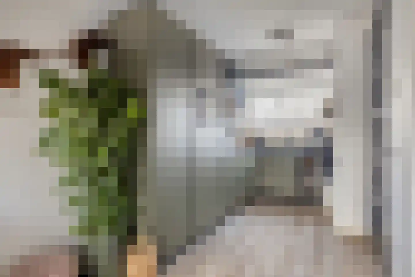 Iepenstraat 28 IJmuiden thumbnail 4