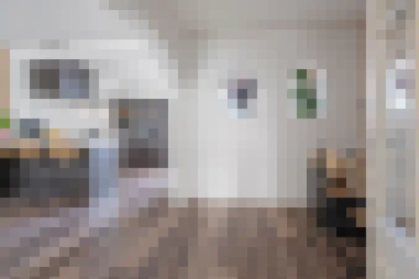 Iepenstraat 3 Oudenbosch thumbnail 10
