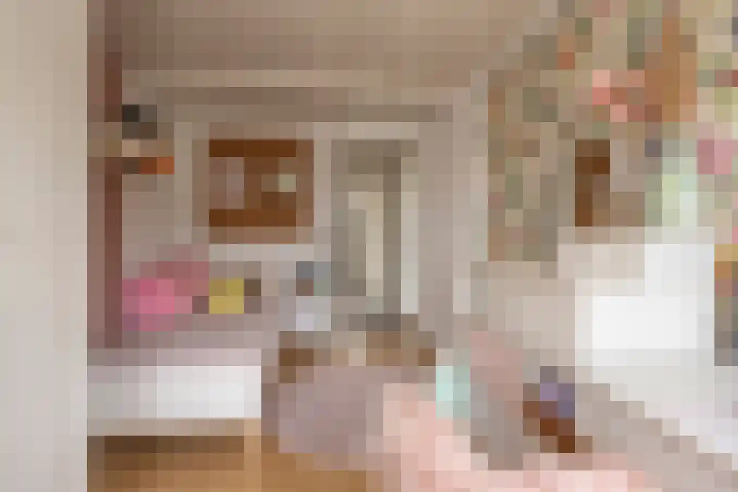 Iepenstraat 3 Oudenbosch thumbnail 18