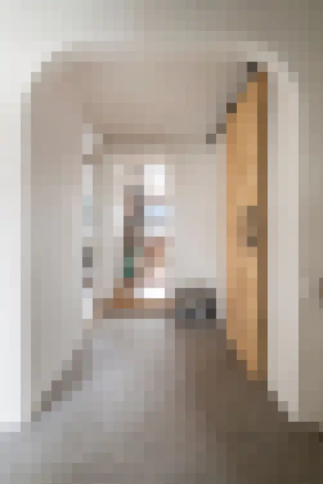 Iepenstraat 3 Oudenbosch thumbnail 21