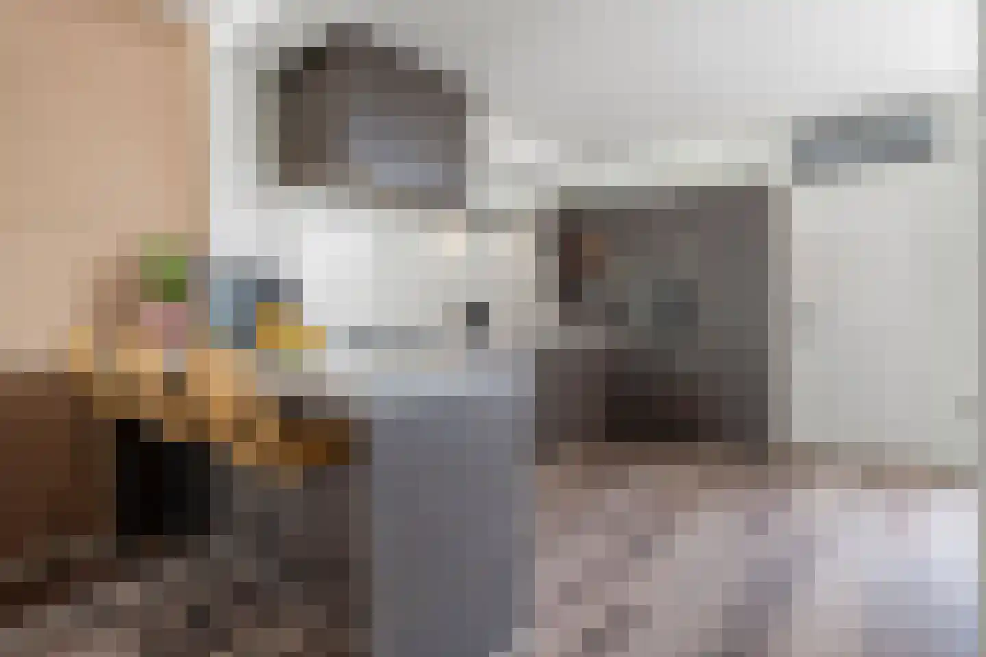 Iepenstraat 3 Oudenbosch thumbnail 4