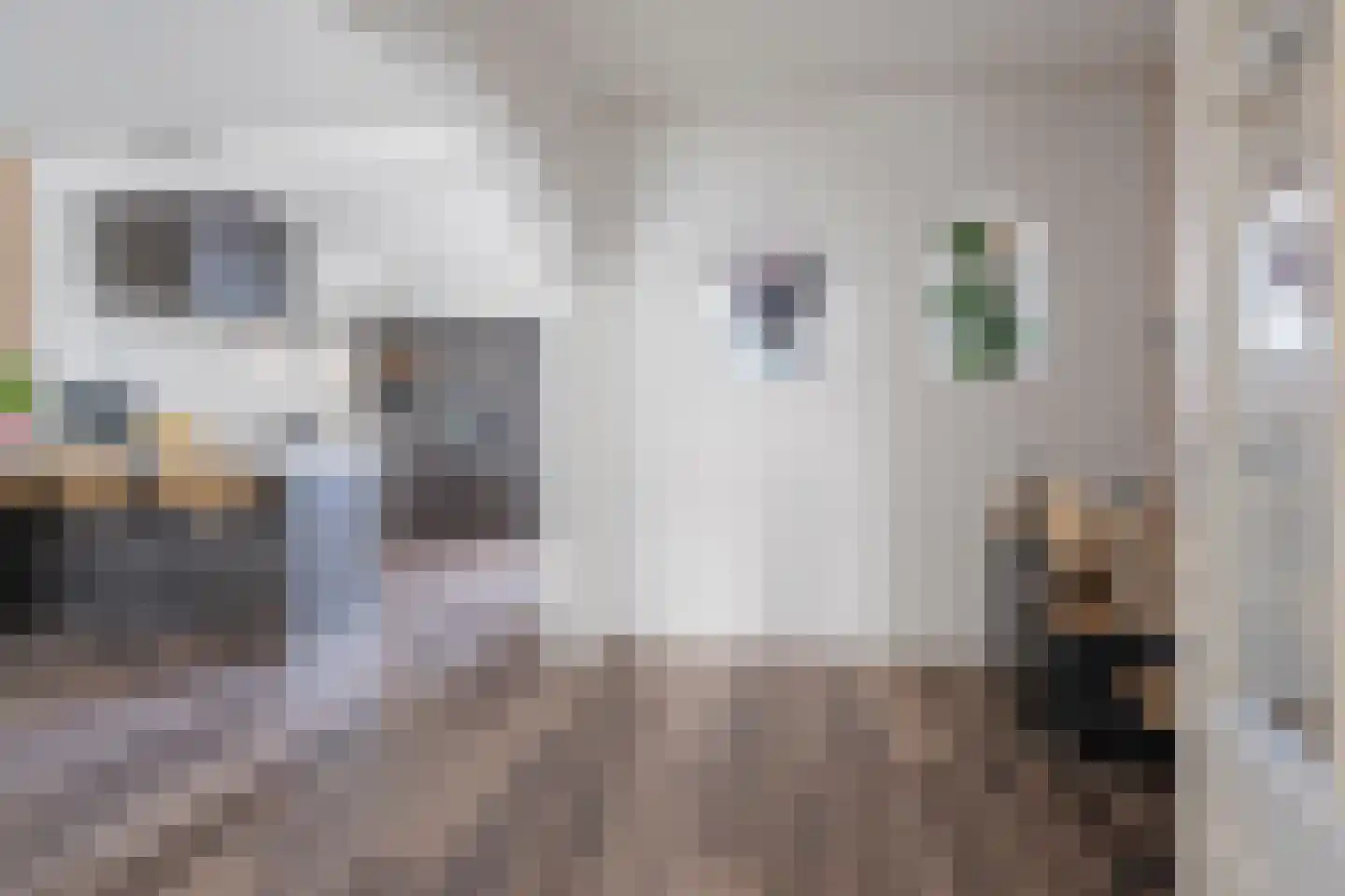 Iepenstraat 3 Oudenbosch thumbnail 9