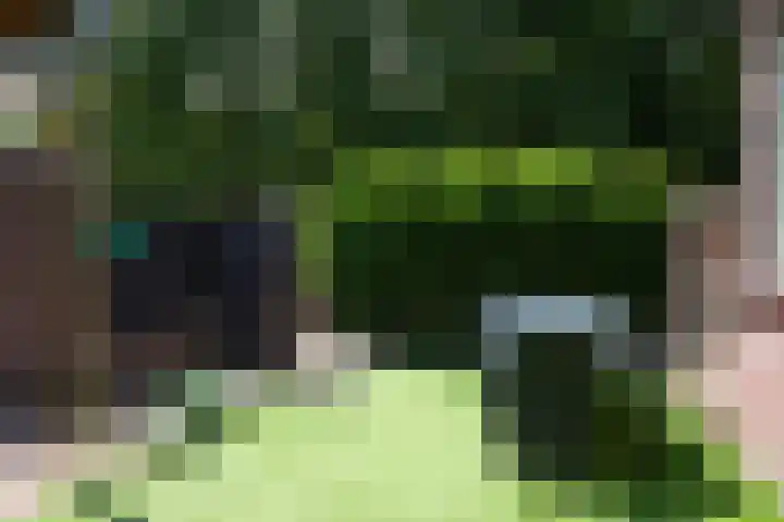 Iepenstraat 32 Brunssum thumbnail 17