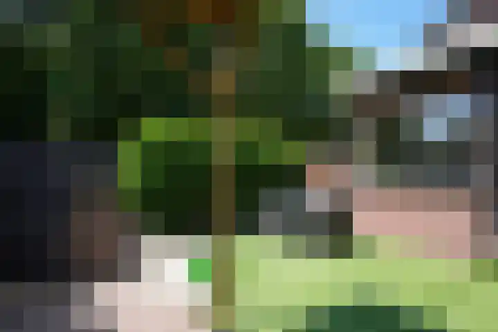 Iepenstraat 32 Brunssum thumbnail 18