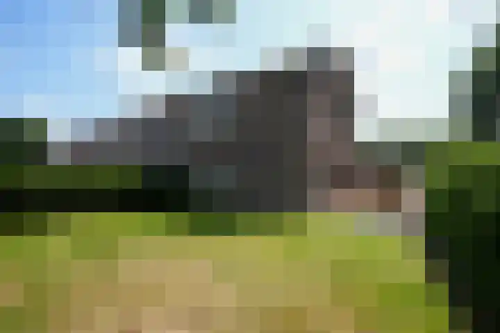 Iepenstraat 32 Brunssum thumbnail 21