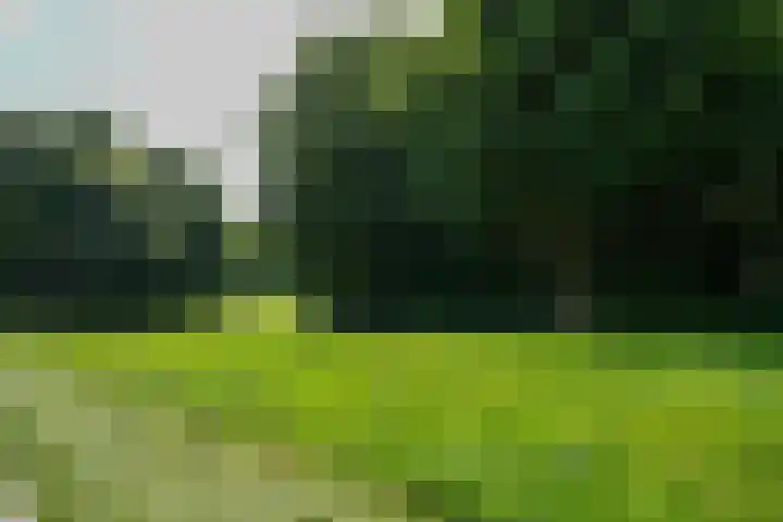 Iepenstraat 32 Brunssum thumbnail 23