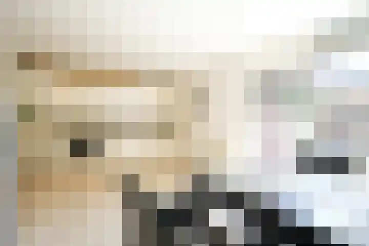 Iepenstraat 32 Brunssum thumbnail 6