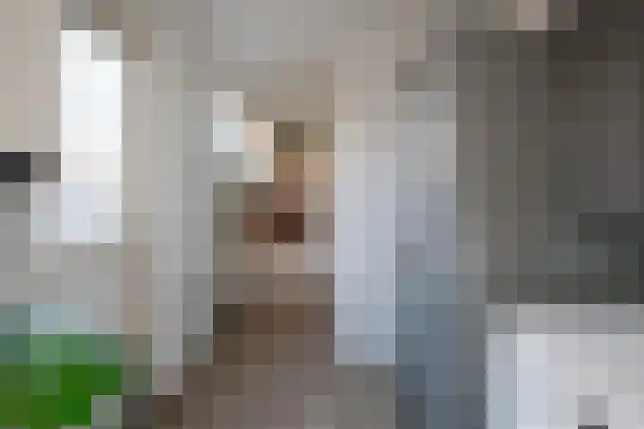 Iepenstraat 37 Almelo thumbnail 14