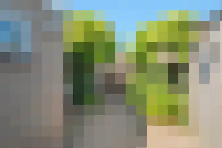 Iepenstraat 37 Almelo thumbnail 18