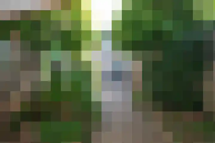 Iepenstraat 37 Almelo thumbnail 19