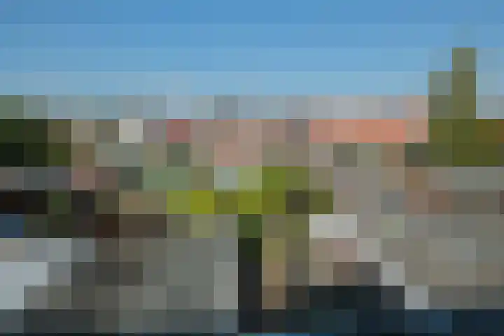 Iepenstraat 37 Almelo thumbnail 26