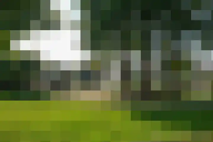 Iepenstraat 37 Almelo thumbnail 30