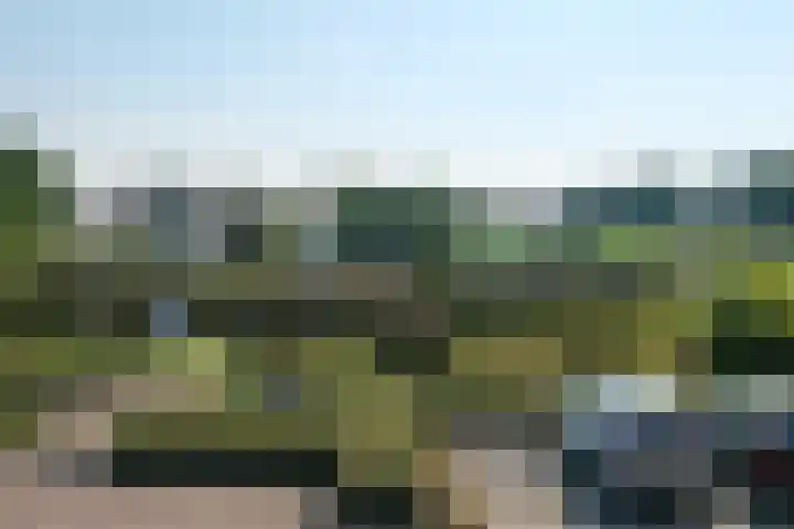 Iepenstraat 37 Almelo thumbnail 31