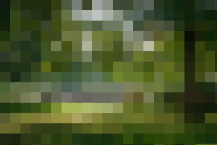Iepenstraat 37 Almelo thumbnail 32