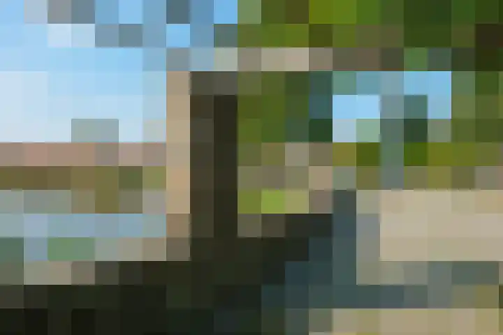 Iepenstraat 37 Almelo thumbnail 35
