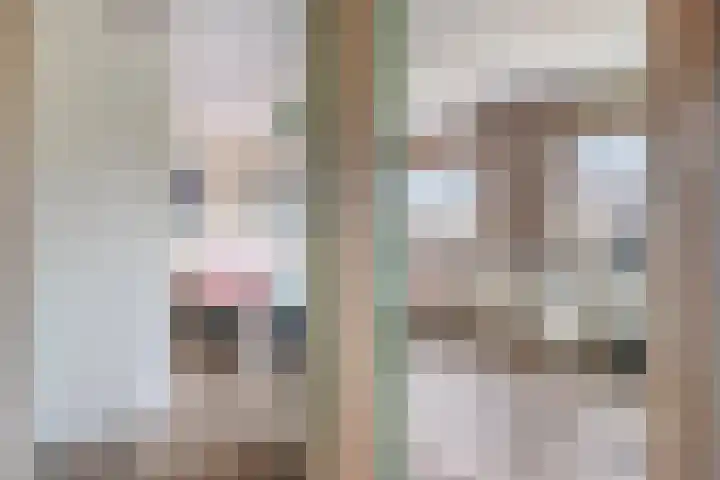 Iepenstraat 4 Roelofarendsveen thumbnail 10