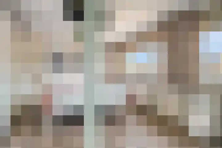 Iepenstraat 4 Roelofarendsveen thumbnail 11
