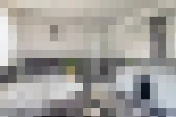 Iepenstraat 4 Roelofarendsveen thumbnail 13
