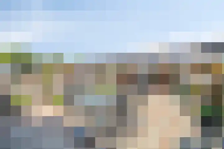 Iepenstraat 4 Roelofarendsveen thumbnail 15